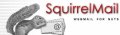 Squirrel Ip How to set up a mail server on a GNU / Linux system